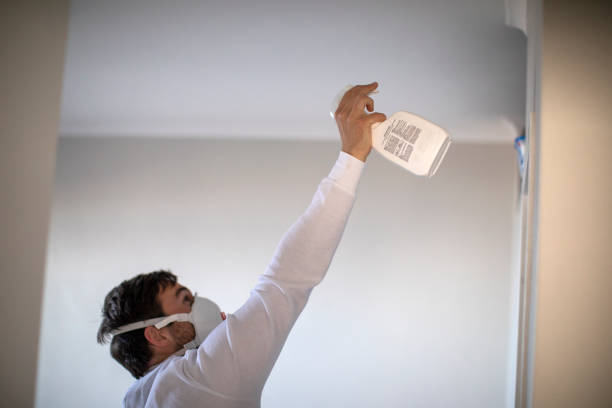 Best Certified Mold Removal  in North Hornell, NY
