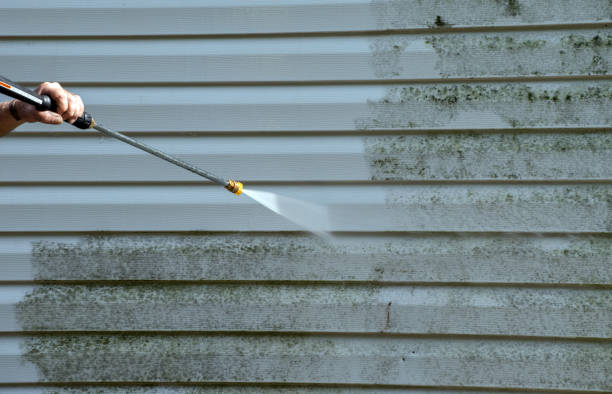 Best Residential Mold Removal  in North Hornell, NY